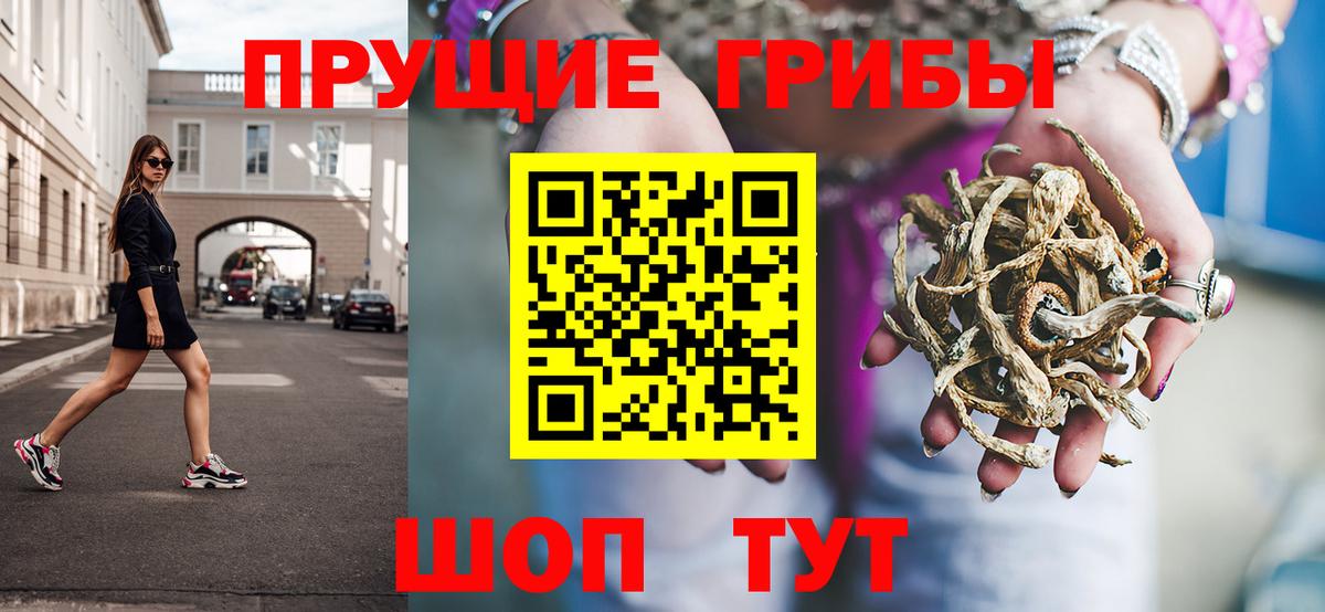 Псилоцибиновые грибы Cubensis Лениногорск